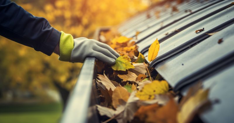 Autumn Exterior Painting